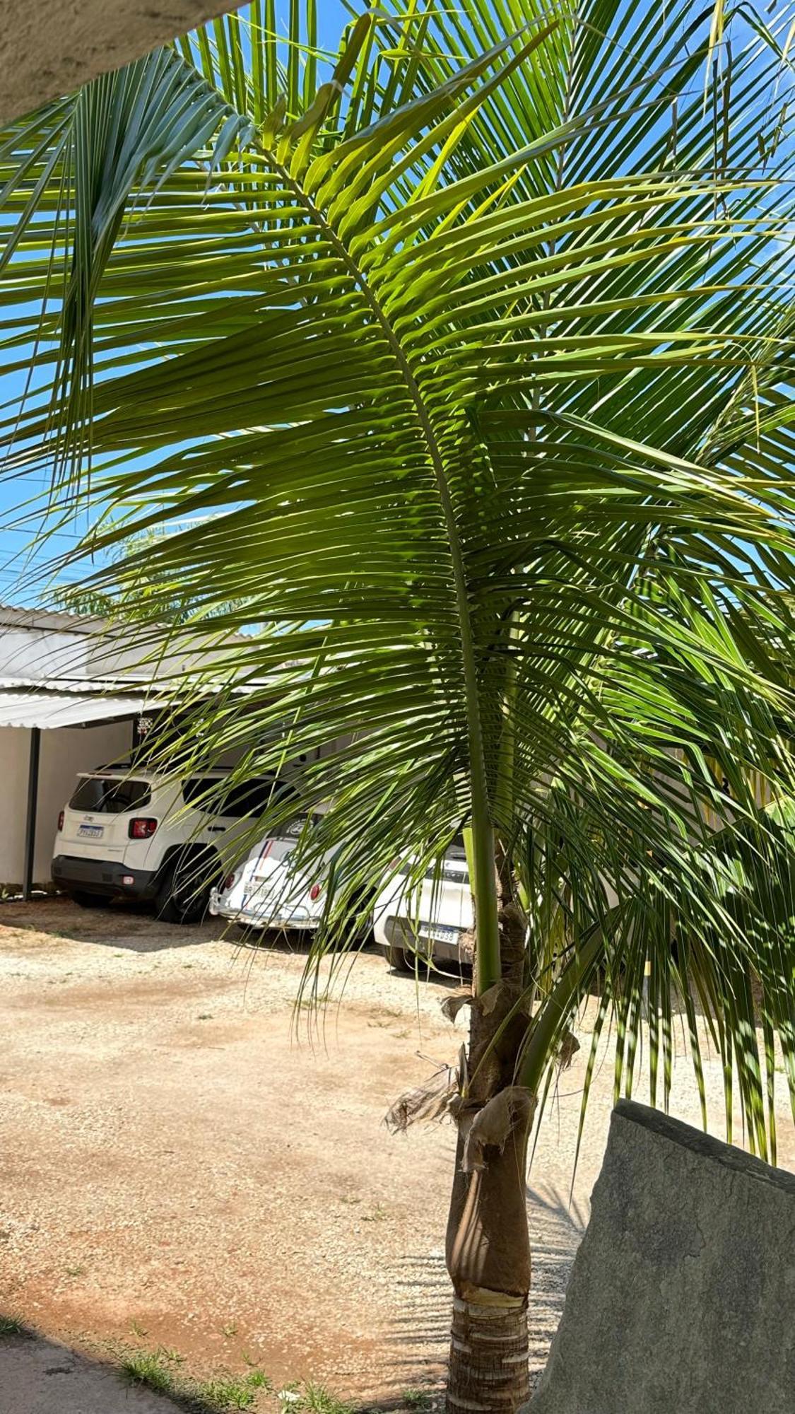 Pousada Caminho Das Cachoeiras Pirenópolis المظهر الخارجي الصورة